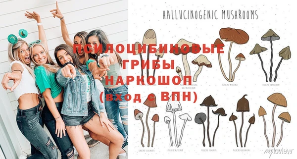 синтетический гашиш Богданович