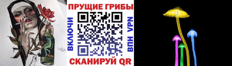 наркота Нариманов Галлюциногенные грибы MAGIC MUSHROOMS